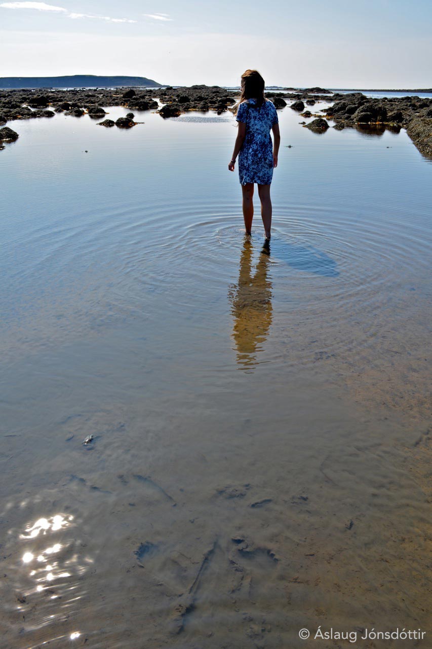 sumar23juliWeb©AslaugJ