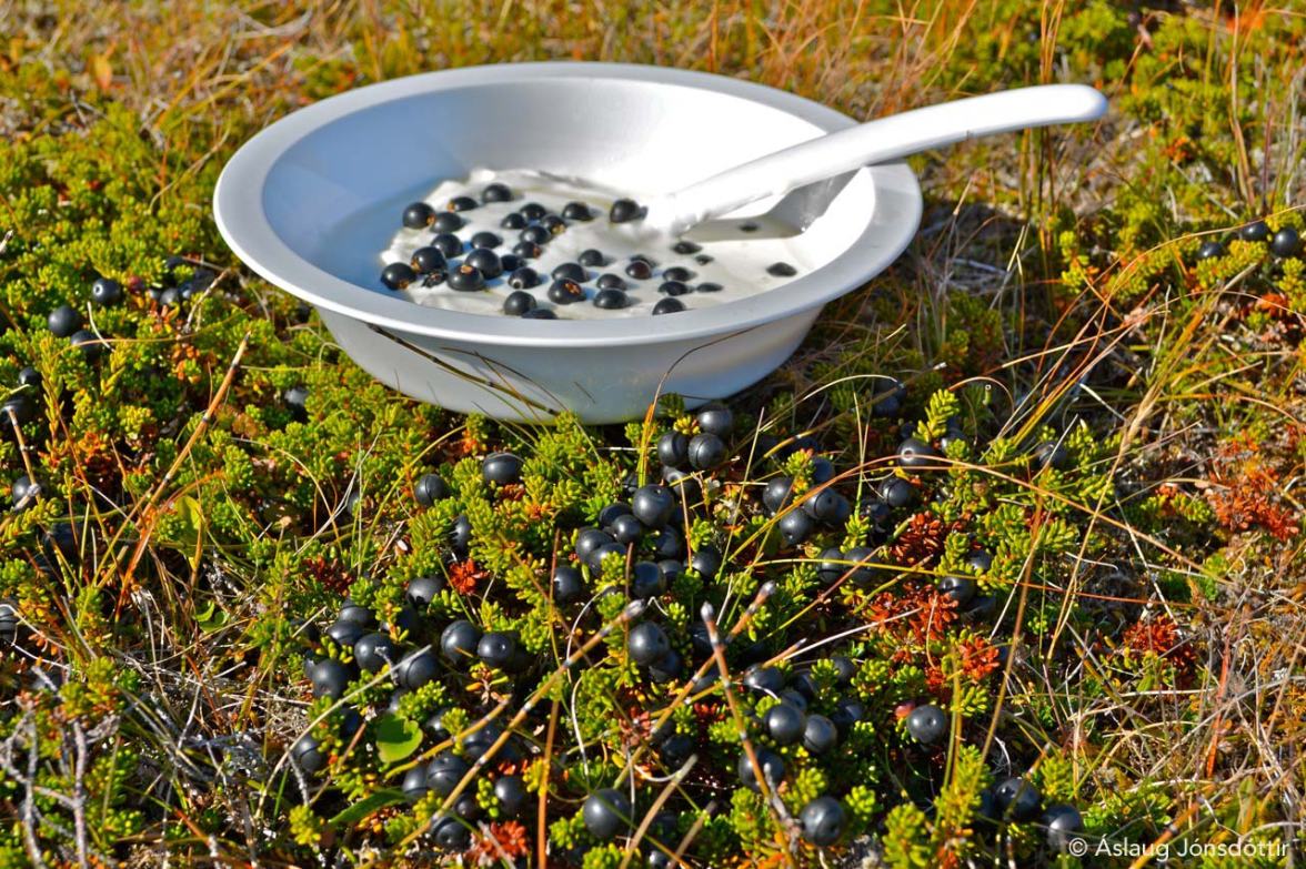 Berjaskyr@AslaugJweb