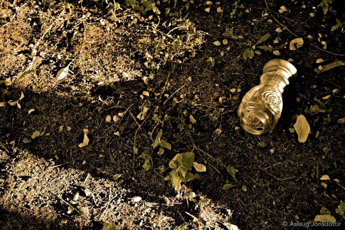 Holavallak3©AslaugJ