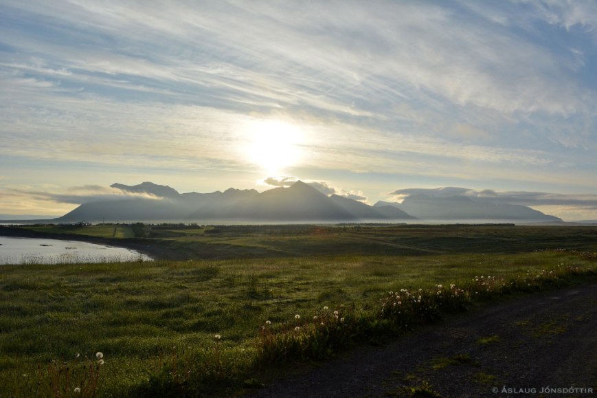 Skardsheidi230614AslaugJ