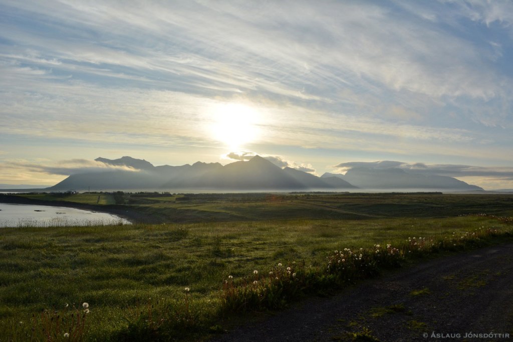 Skardsheidi230614AslaugJ