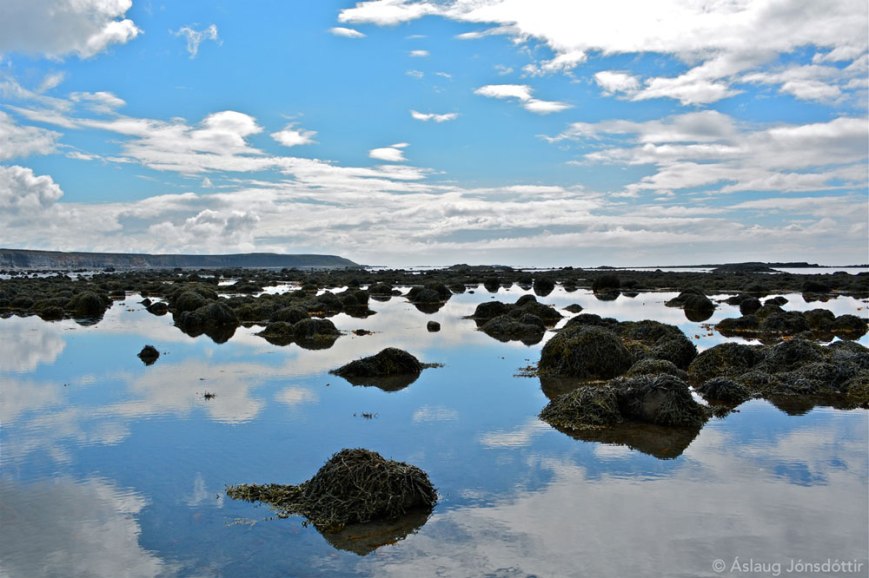 MelaleitiFjaran140714AslaugJ