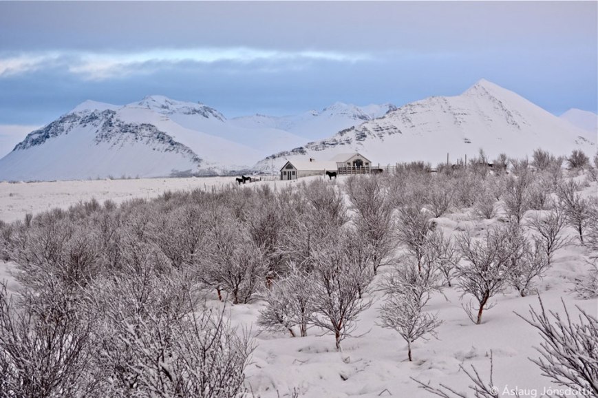 Skarðsheiðin2jan2015