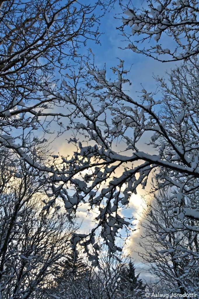 Holavallagardur©AslaugJ2015