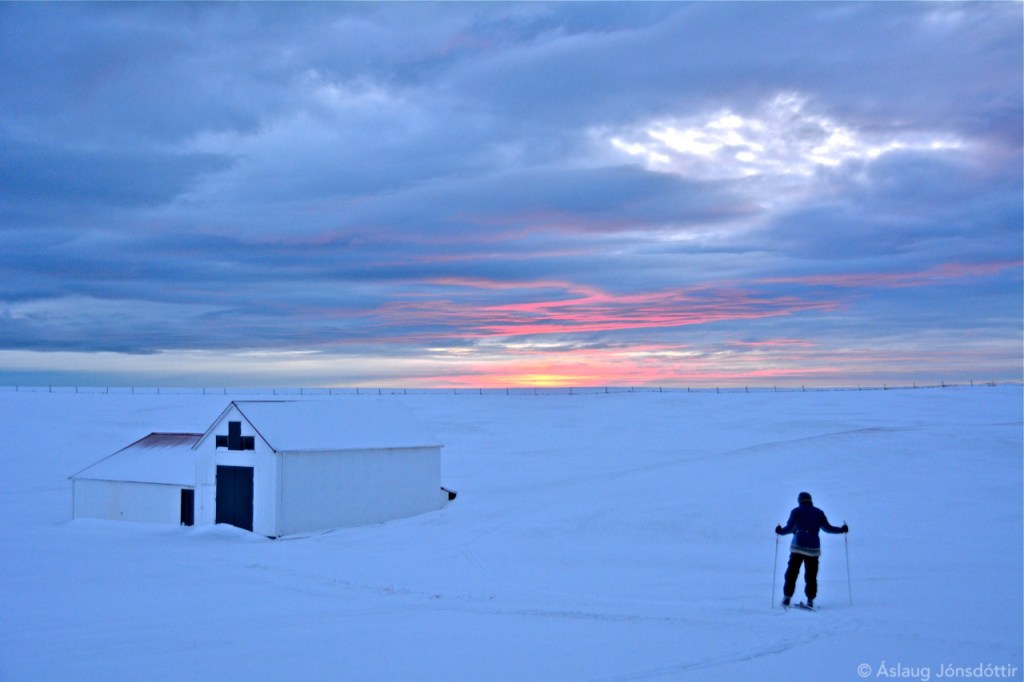 JanuarSnjor-©AslaugJ