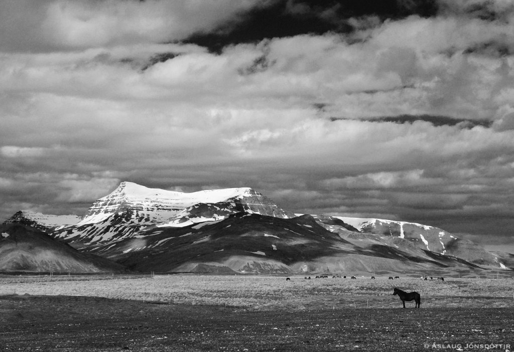 HesturSkardsheidi©AslaugJ