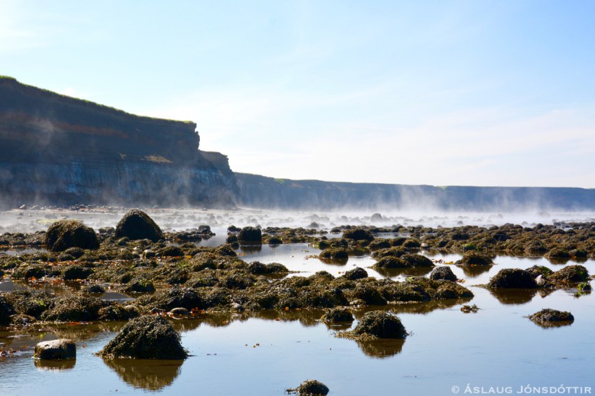 Melabakkar3juni2016-1©AslaugJons