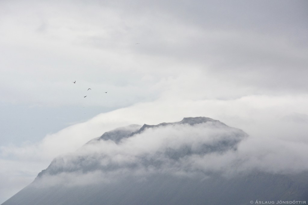 Hafnarfjall©AslaugJ