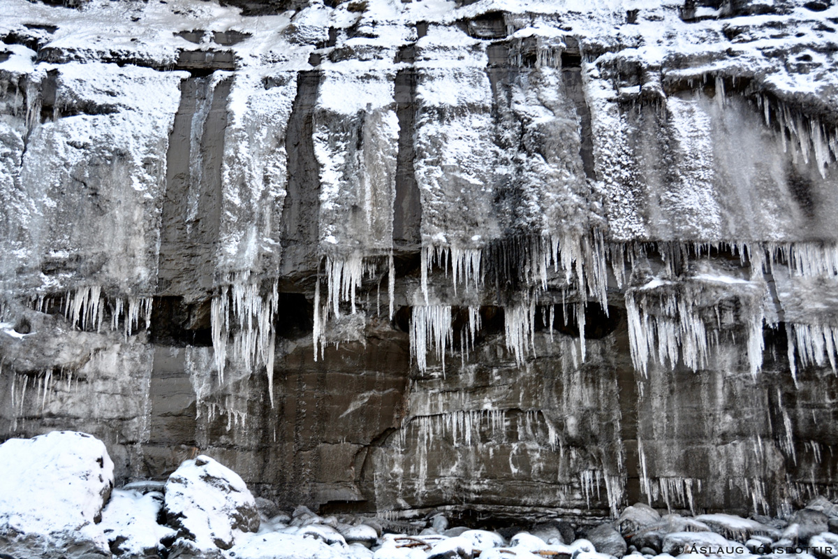 Melabakkar - aslaugj31-12-2016-1