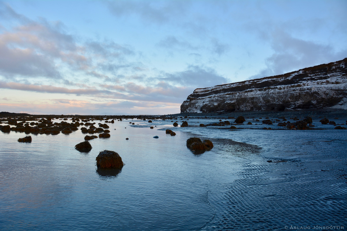 Melabakkar - aslaugj31-12-2016-10
