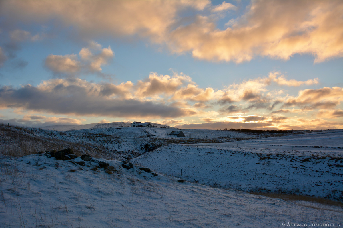 Melaleiti - aslaugj31-12-2016-11