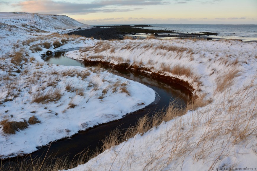 Skálalækur - aslaugj31-12-2016-5